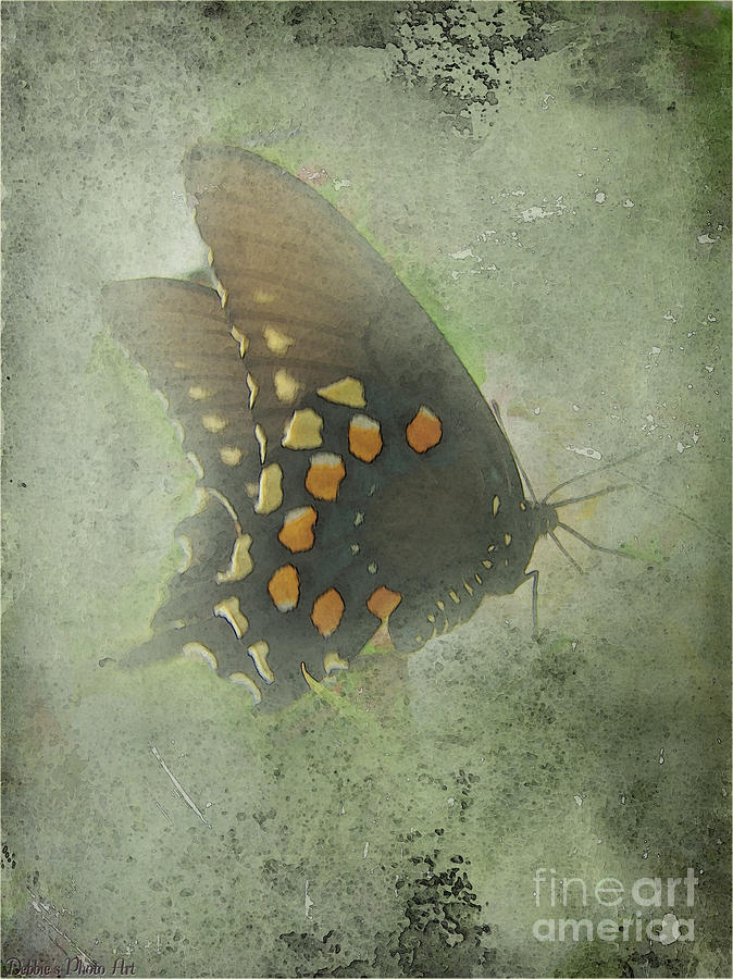 Vintage Butterfly Photograph by Debbie Portwood