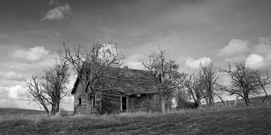 Vintage Farm House Photograph by Steve McKinzie