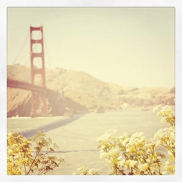 Vintage Photograph - #vintage #goldengatebridge by Rachel Boyer 