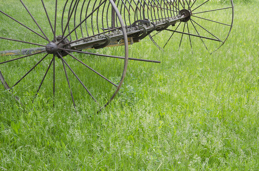 Vintage Hay Rake Spring Grass Photograph by Wilma  Birdwell