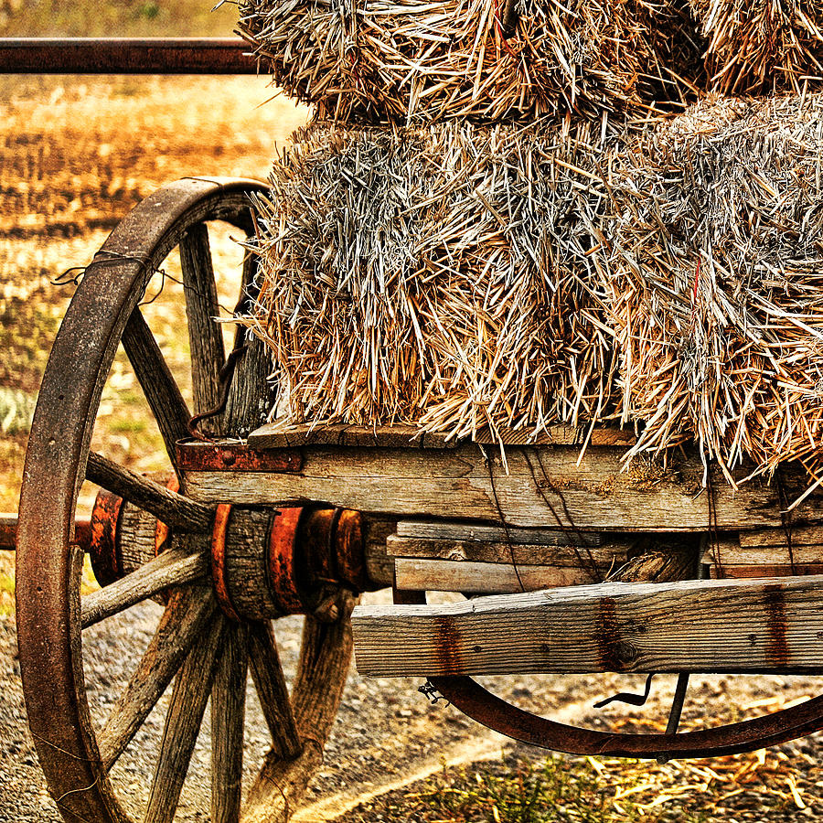 Vintage Hay Wagon Photograph by Bonnie Bruno