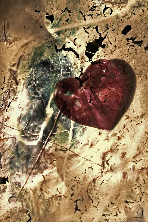 Vintage Photograph - Vintage Heart by Linda Sannuti