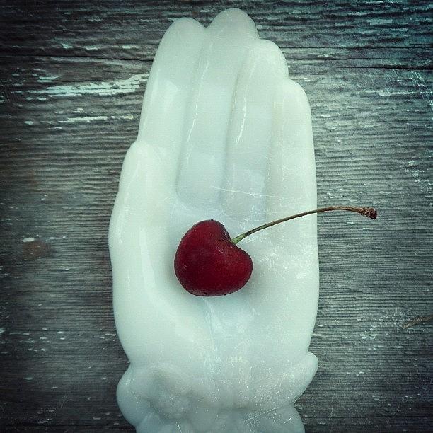 Antique Photograph - Vintage Milk Glass Hand. #cherry #hand by Mary Welsch