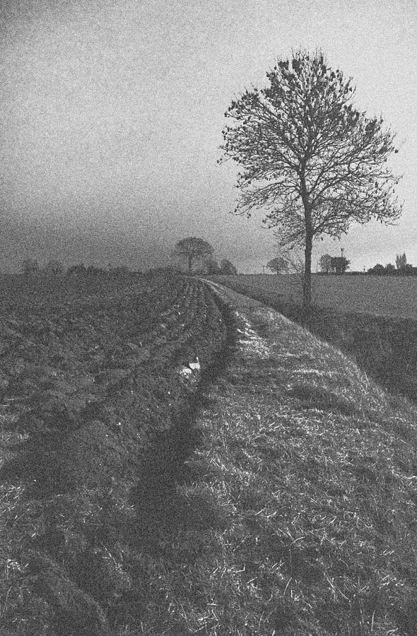 Vintage Norfolk Farming England Photograph By Darren Burroughs Fine