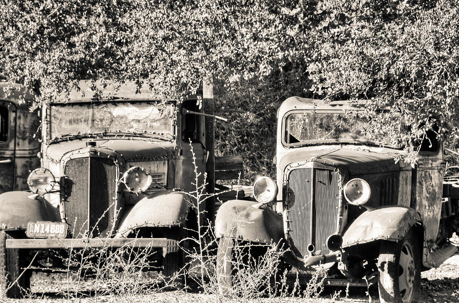 Vintage Old Trucks Black and White Photograph by Connie Cooper-Edwards