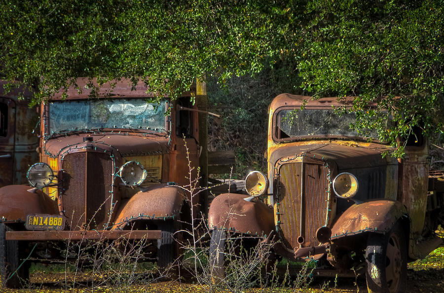 Vintage Old Trucks Photograph by Connie Cooper-Edwards