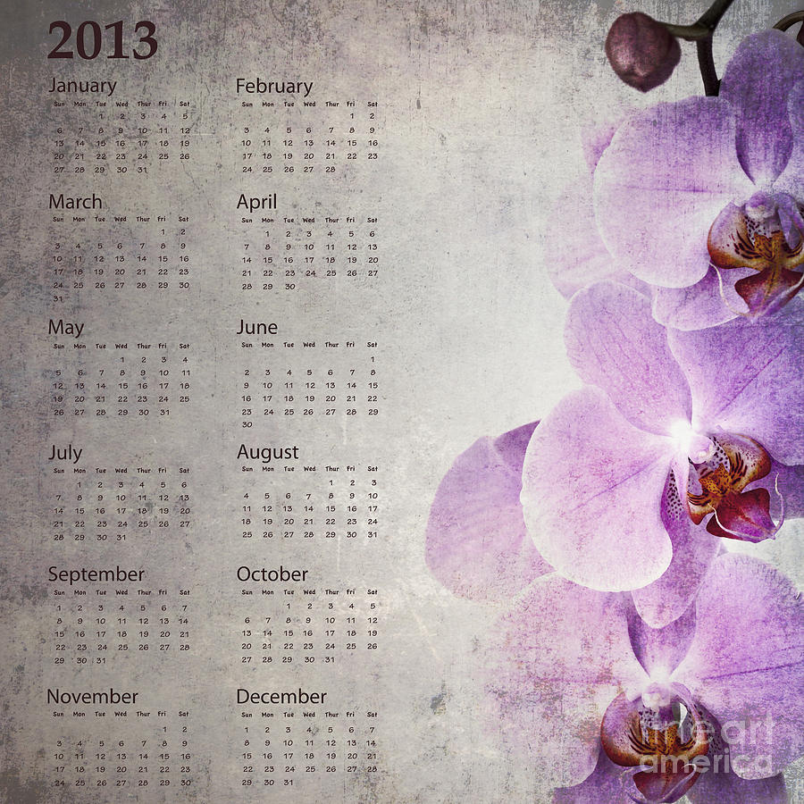 Nature Photograph - Vintage orchid calendar 2013 by Jane Rix