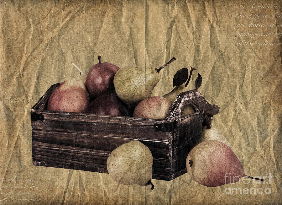 Fall Photograph - Vintage pears by Jane Rix