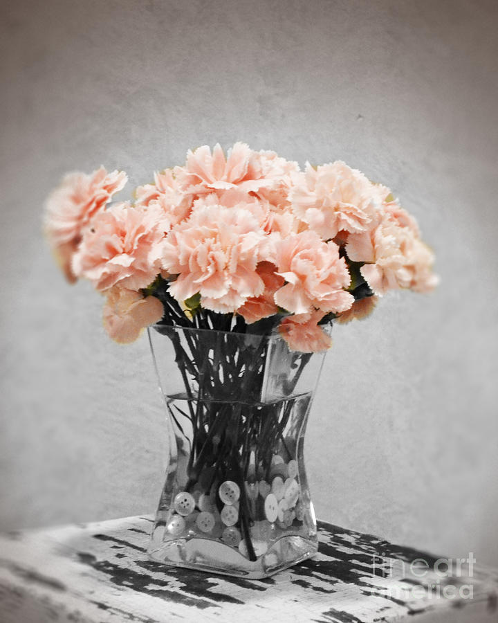 Vintage Pink Photograph by Traci Cottingham