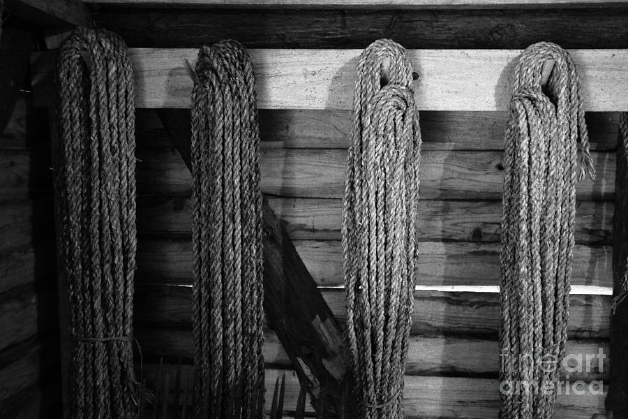 Vintage ropes Photograph by Gaspar Avila