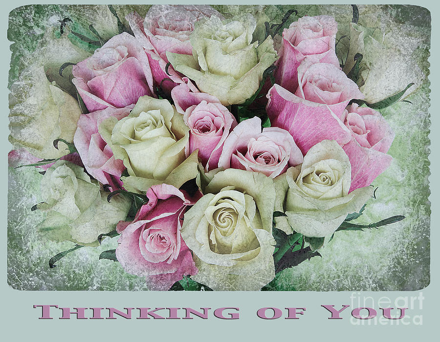 Vintage Rose Bouquet Card Photograph by Jim And Emily Bush