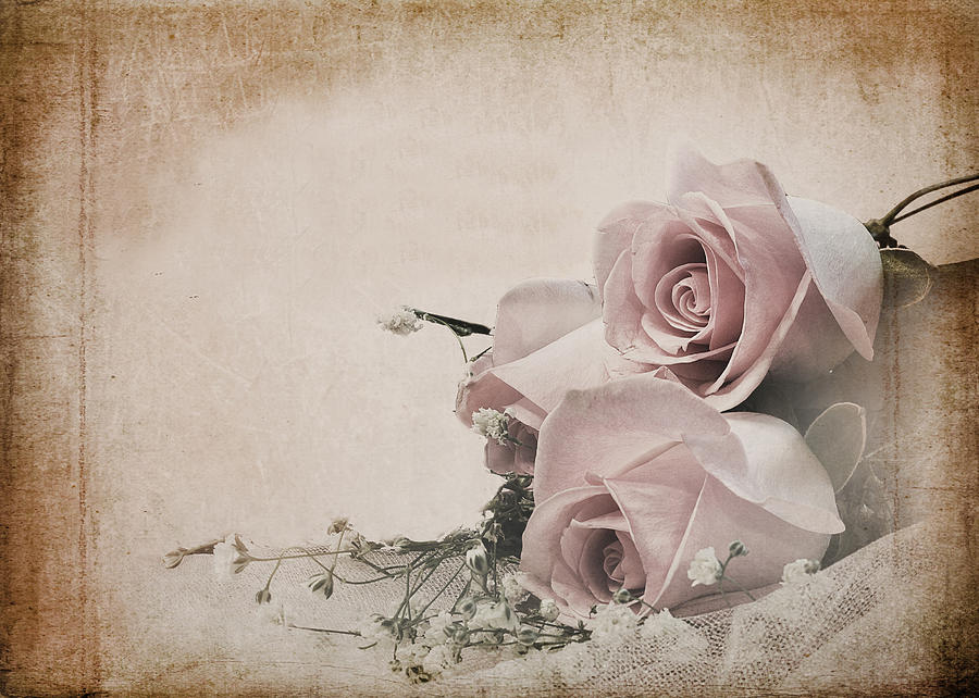 Vintage Roses Mixed Media by Trudy Wilkerson