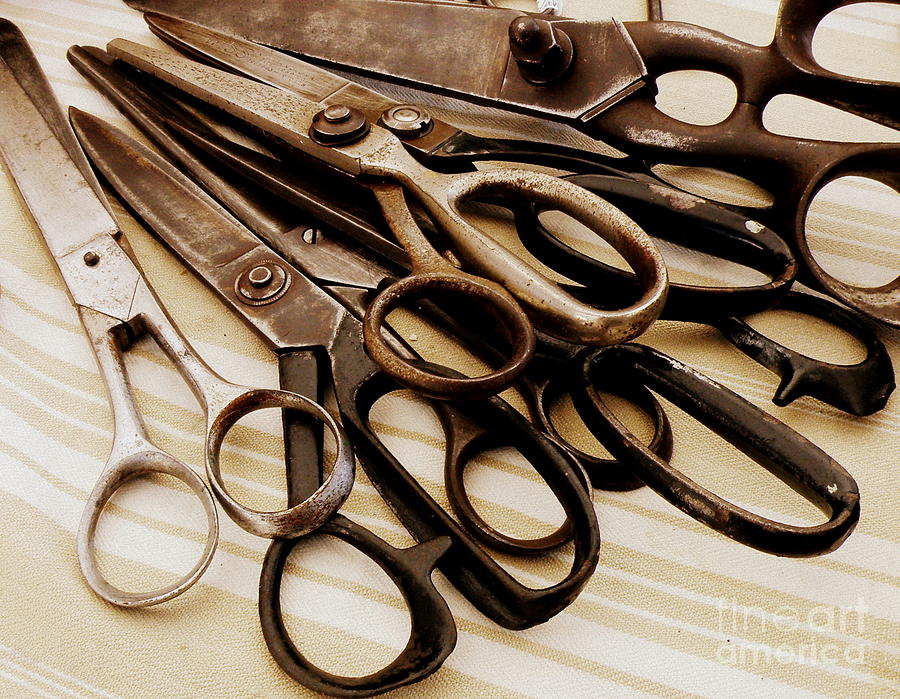 Vintage Scissors  Photograph by Lainie Wrightson