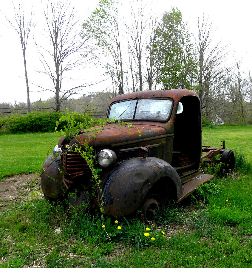 Vintage Truck Gone Rust  Photograph by Kim Galluzzo Wozniak