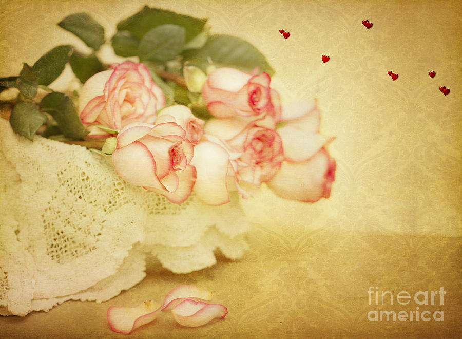 Vintage Valentine Day Roses Photograph by Susan Gary