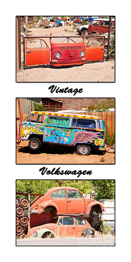Vintage Volkswagen Triptych Photograph by Bob and Nancy Kendrick