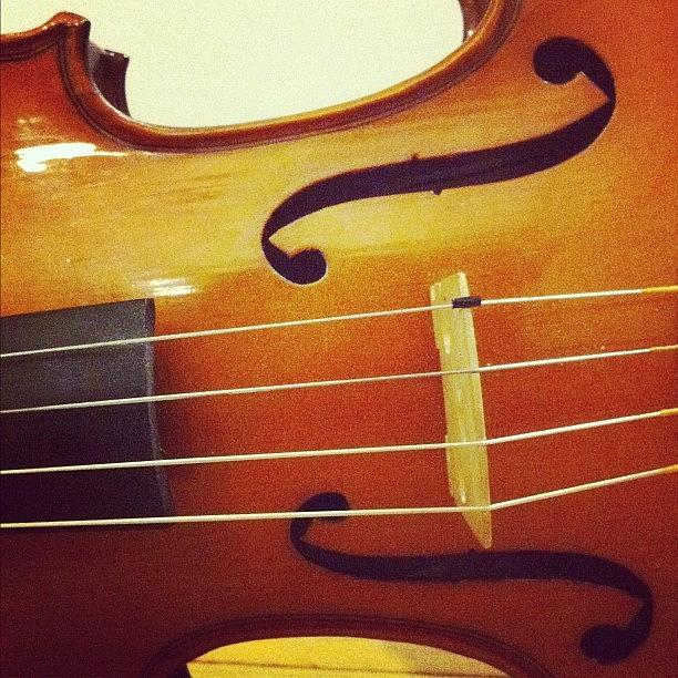 Sheetmusic Photograph - #viola #instrument # by Jenni Munoz