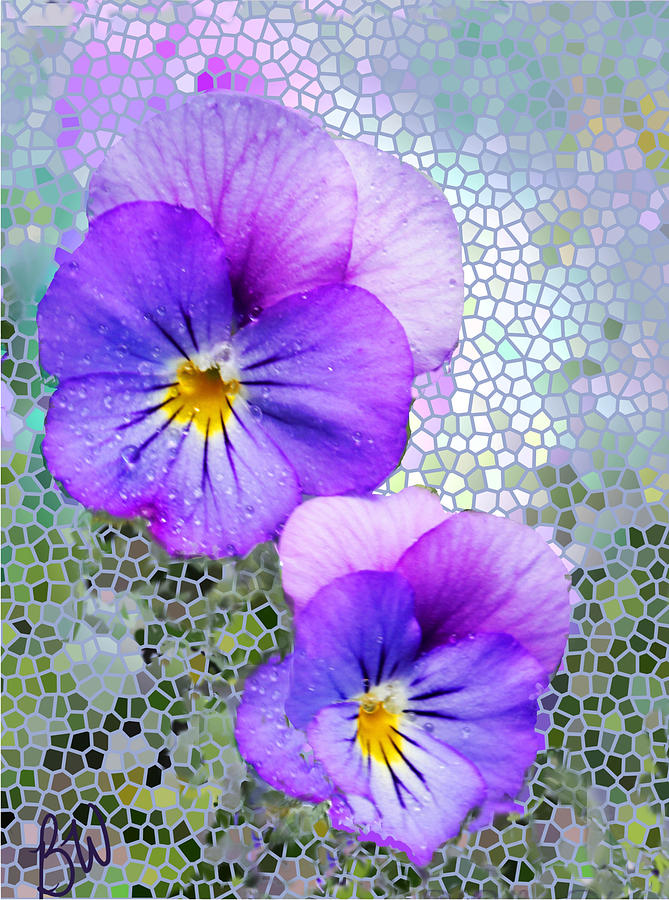 Flower Photograph - Viola on Glass by Bonnie Willis