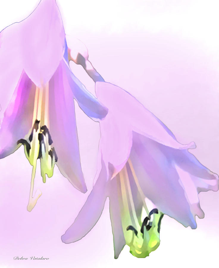Watercolor Floral Painting - Violet Powder Floral by Debra     Vatalaro