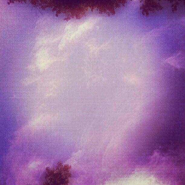 Tree Photograph - violet Sky by Angela Nash