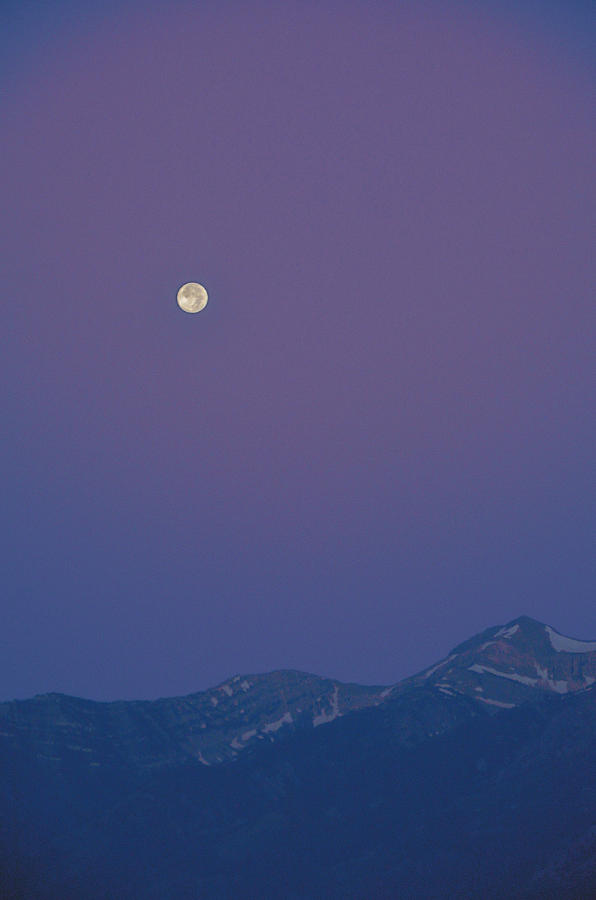 Violet Sky Photograph by Toshihide Takekoshi Fine Art America