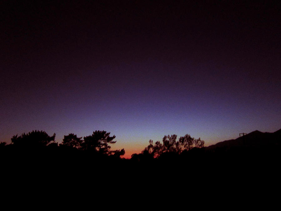 Violet Sunset Photograph by Steve Fields