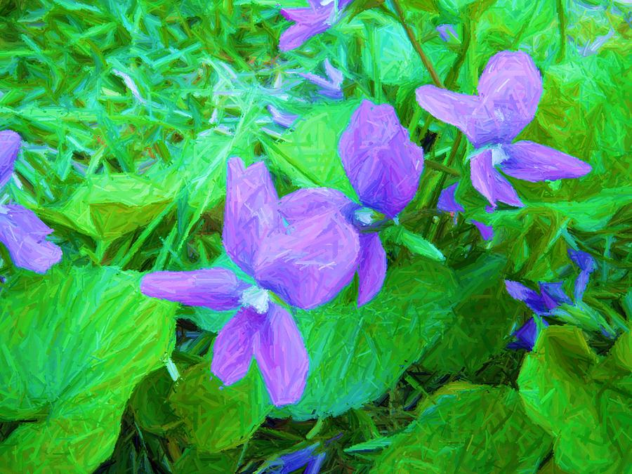 Violets Photograph by Susan Carella