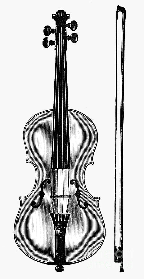 Violin With Bow Stock Illustration - Download Image Now - Drawing - Art  Product, Elegance, Illustration - iStock