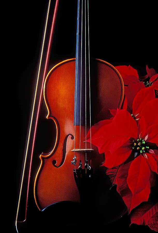 Violin and Poinsettia Photograph by Garry Gay