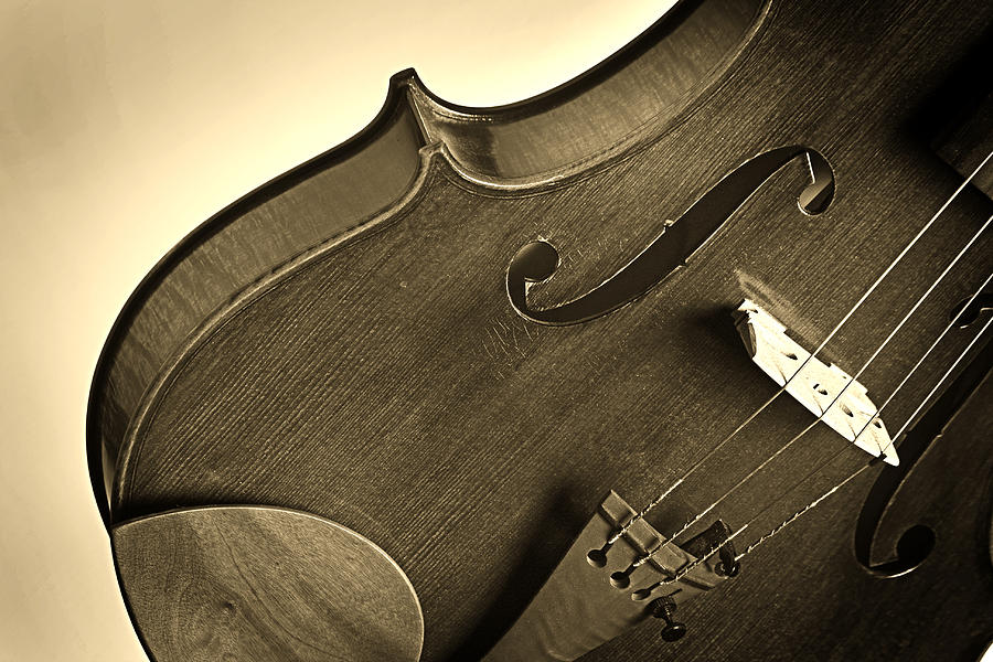 Violin Isolated Photograph by M K Miller
