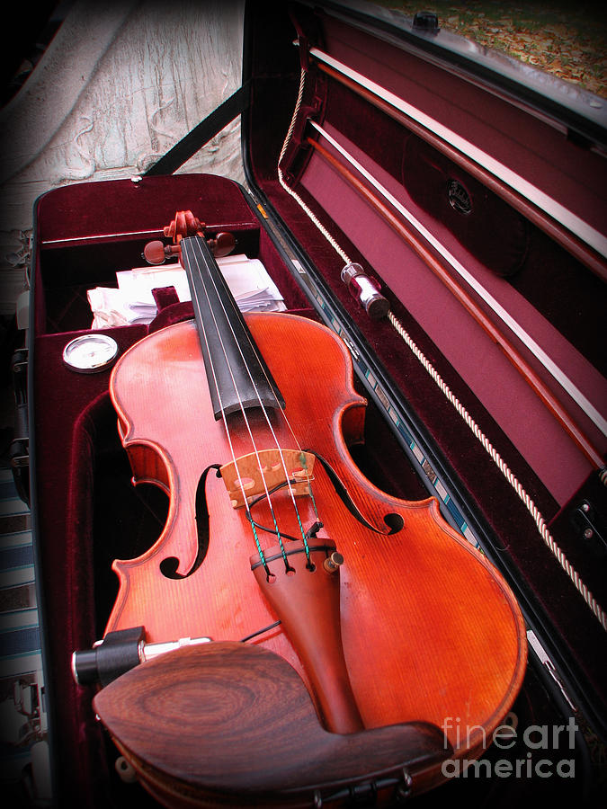Violin Photograph