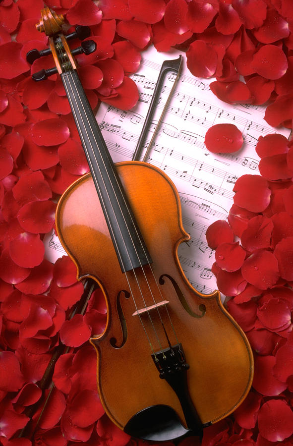 Violin on sheet music with rose petals Photograph by Garry Gay