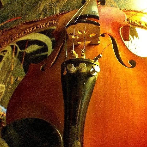 Music Photograph - #violin #viola #music #art by Uriel Gonzalez