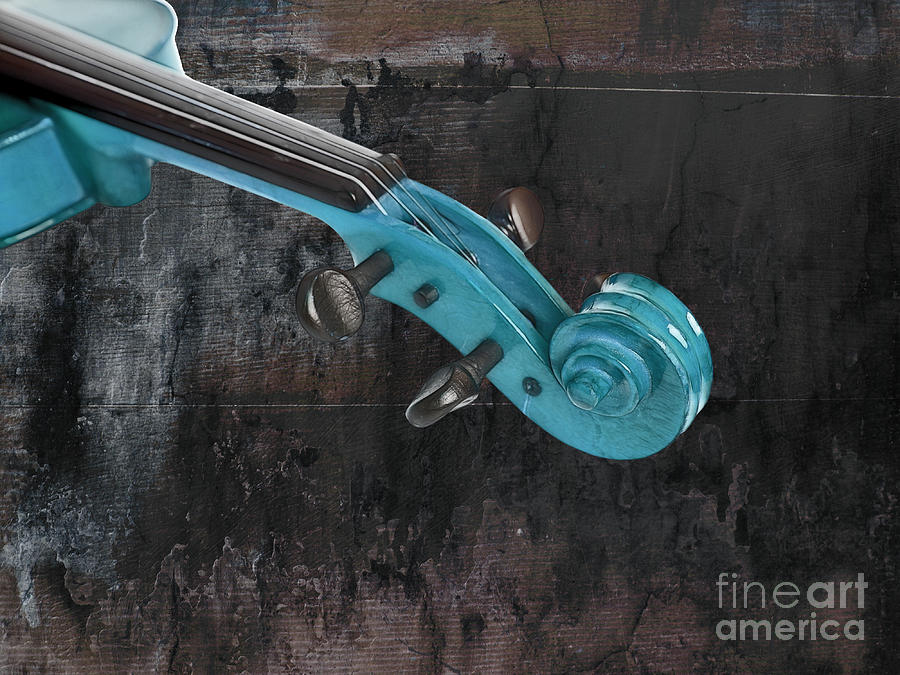 Violinelle - Turquoise 05a2 Photograph by Variance Collections