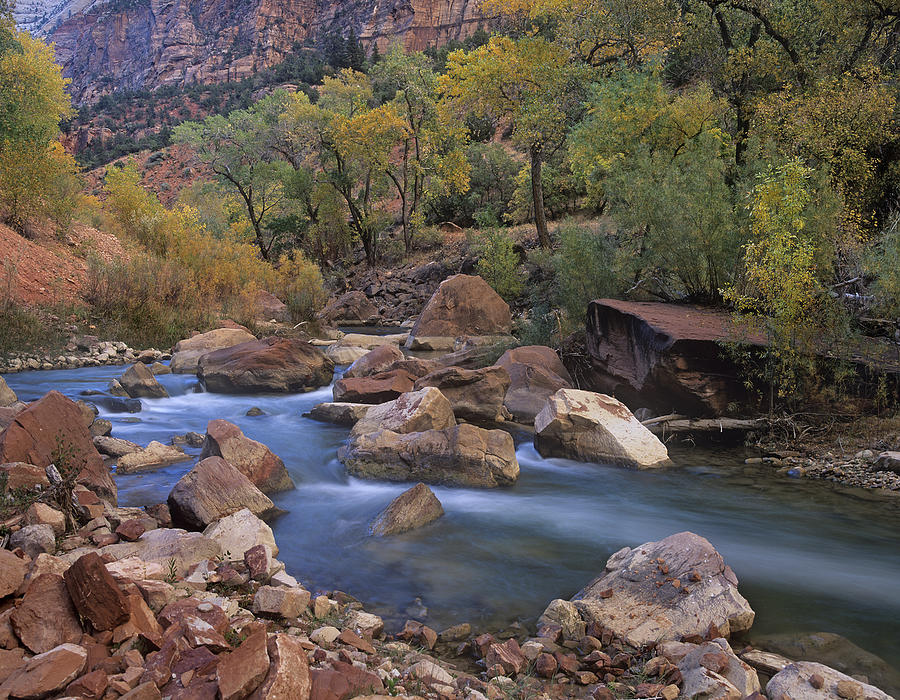 Virgin River Flowing Through Canyon Photograph by Tim Fitzharris