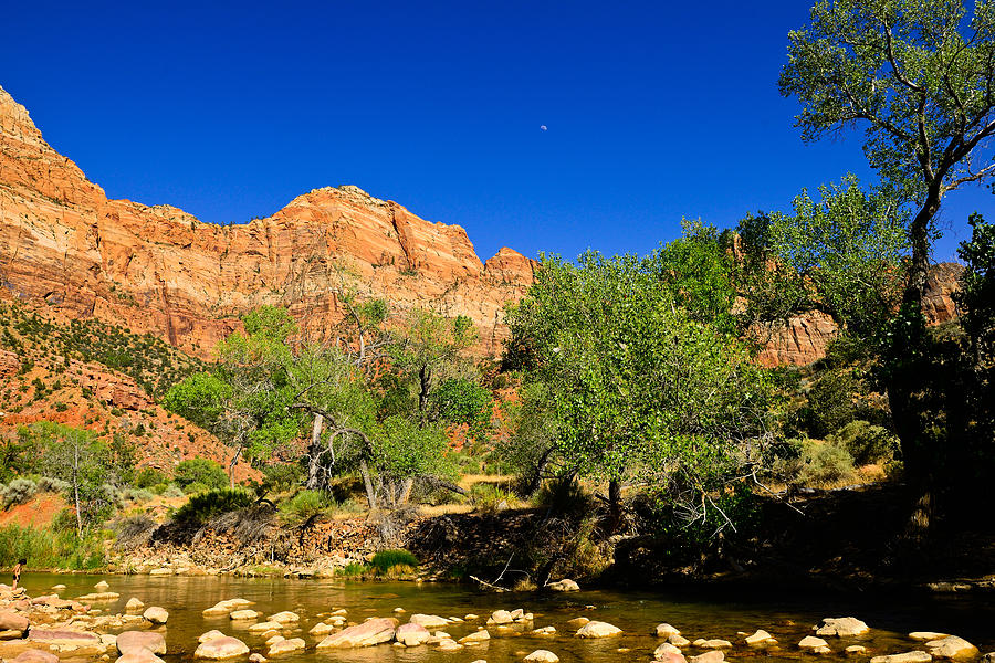 Virgin River Photograph by Greg Norrell