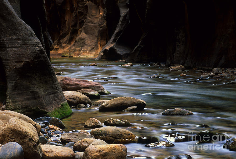The Narrows Virgin River Zion 8 #1 Photograph by Bob Christopher