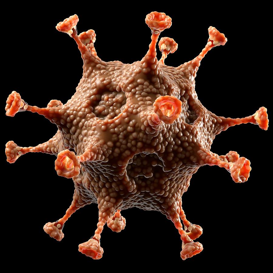 Pathogen Photograph - Virus Particle, Conceptual Image by Laguna Design