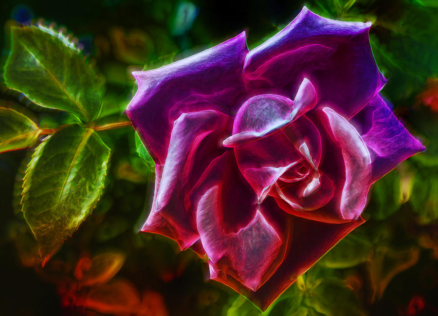 Visions From A Rose Photograph by Bill and Linda Tiepelman