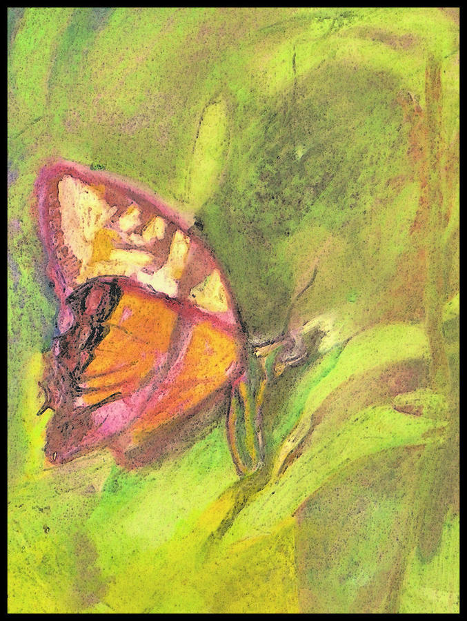 Visiting Butterfly Drawing by Don Schaeffer - Fine Art America