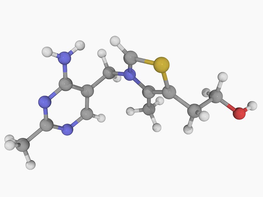 Vitamin B1 (thiamine) Molecule Digital Art by Laguna Design