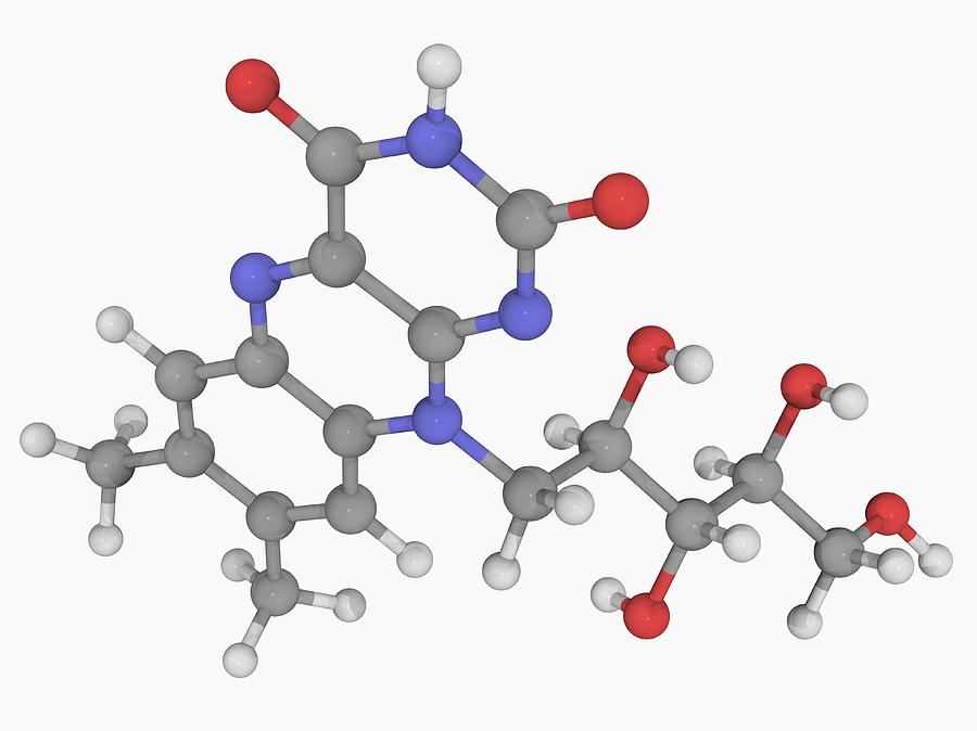 Vitamin B2 (riboflavin) Molecule Digital Art by Laguna Design