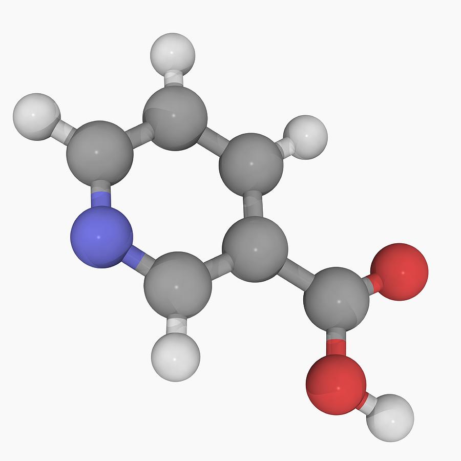 Vitamin B3 (nicotinic Acid) Molecule Digital Art by Laguna Design