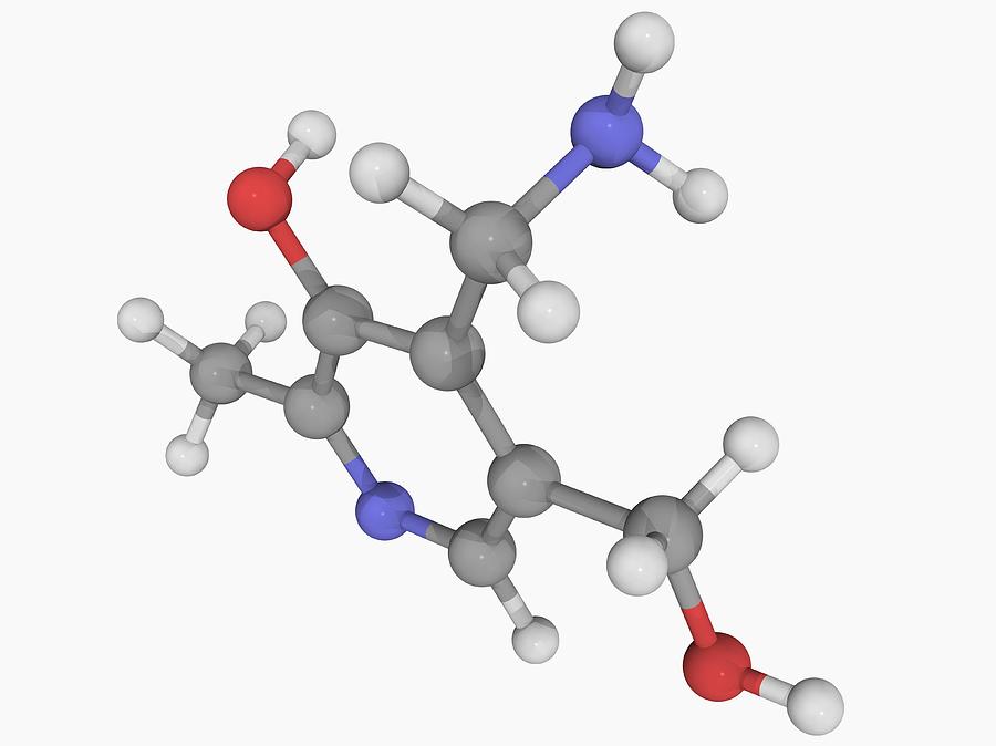 Vitamin B6 (pyridoxamine) Molecule Digital Art by Laguna Design