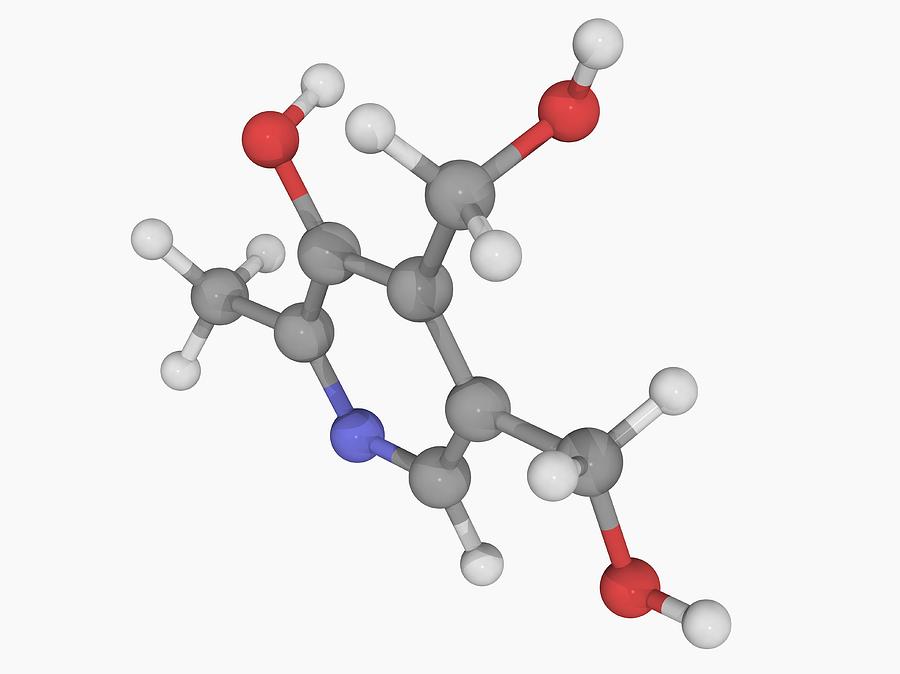Vitamin B6 (pyridoxine) Molecule Digital Art by Laguna Design