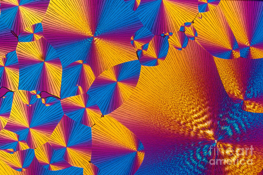 Chemistry Photograph - Vitamin H Crystal by Michael W. Davidson