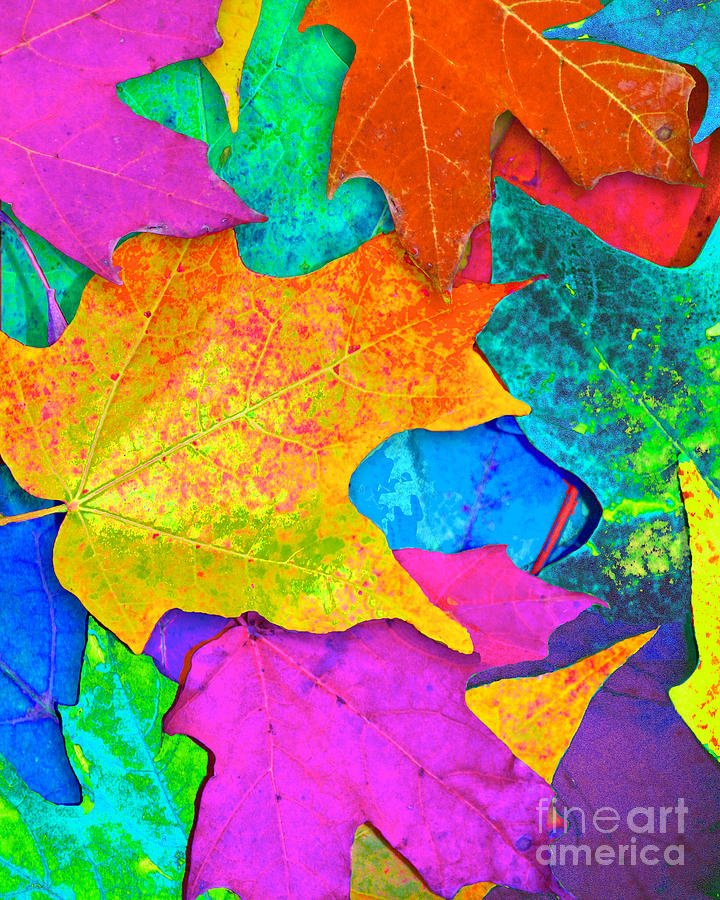 Vivid Leaves 3 Photograph by Ginny Gaura