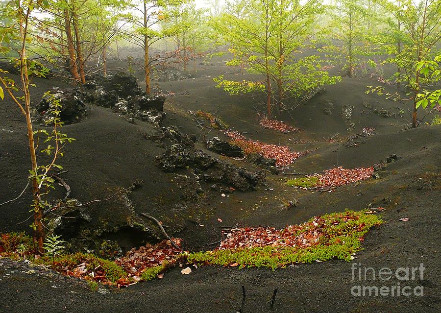 Photo Photograph - Volcanic Scenery by Bernard MICHEL Photo Photograph - Volcanic Scenery by Bernard MICHEL