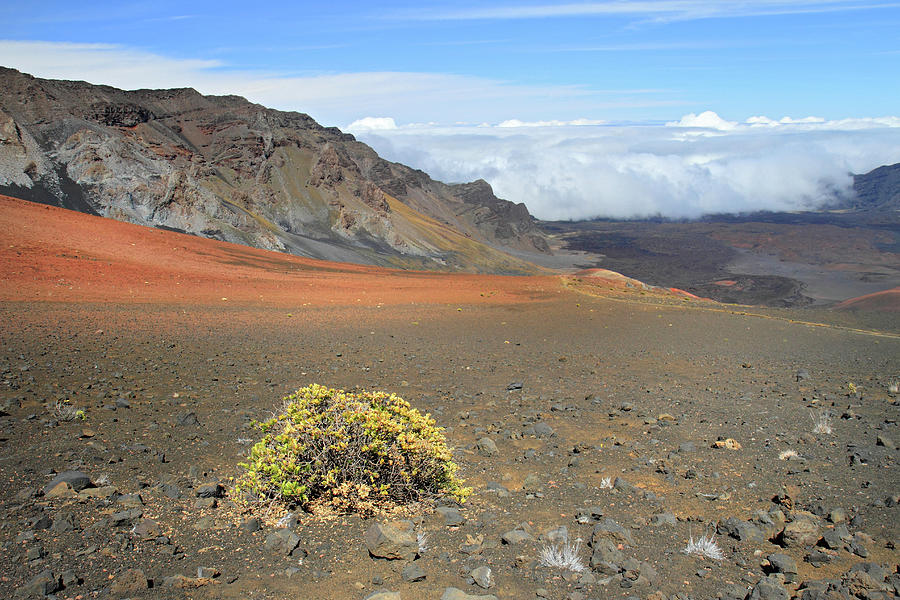 Volcano landscape Photograph by Pierre Leclerc Photography