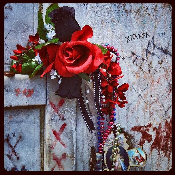 Rose Photograph - Voodoo Queen / #nola #voodoo #marie by Sid Graves